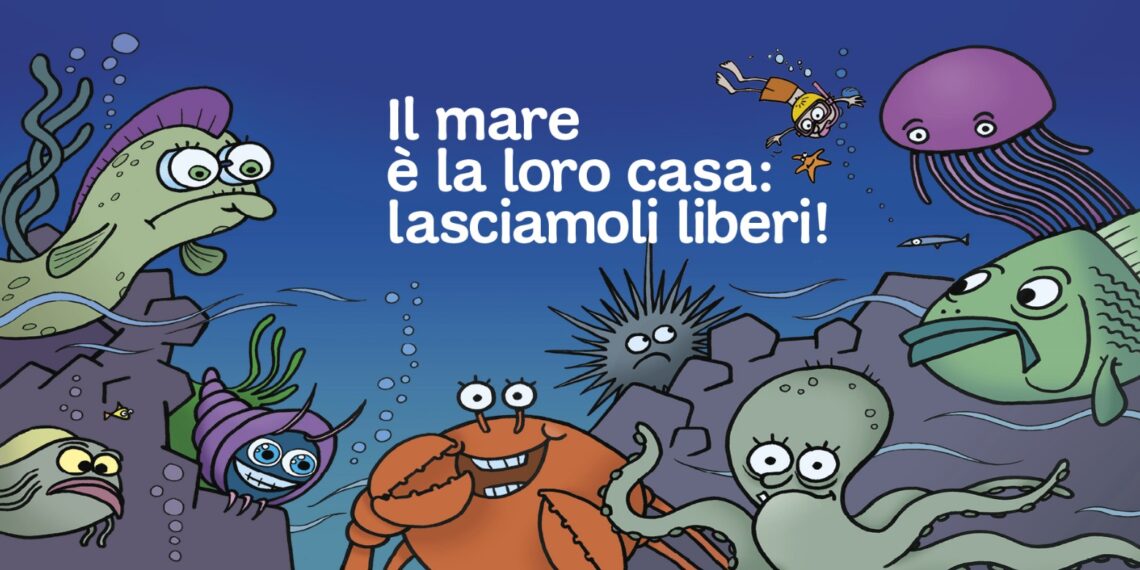 Domenica a Parghelia la campagna nazionale LAV “Il mare è la loro casa”