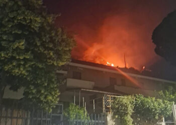 Un incendio ha devastato la collina sopra Fiumefreddo Bruzio