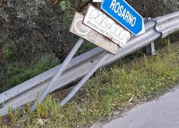 È colpevole e sbagliato assuefarsi al degrado! Lettera aperta al Sindaco della Città Metropolitana di Reggio Calabria