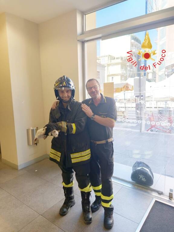 I Vigili del Fuoco salvano un gattino incastrato in un bancomat 5 generico giugno 2025 560110