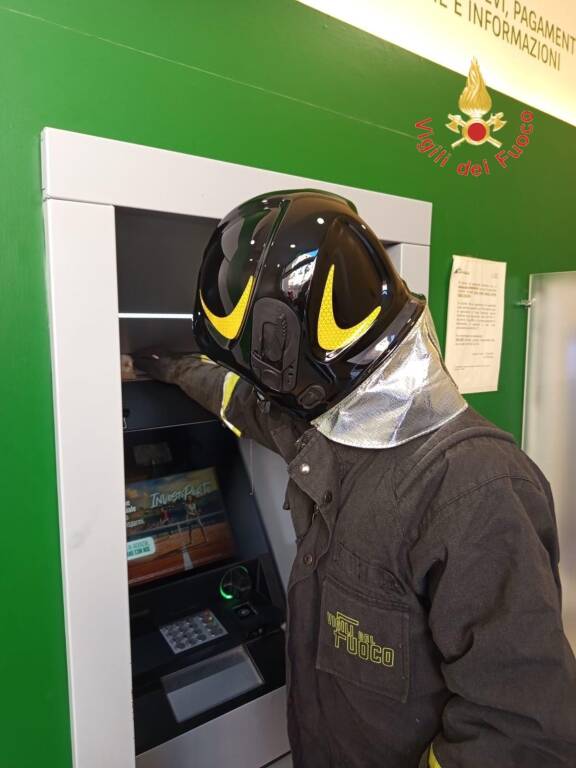 I Vigili del Fuoco salvano un gattino incastrato in un bancomat 4 generico giugno 2025 560112