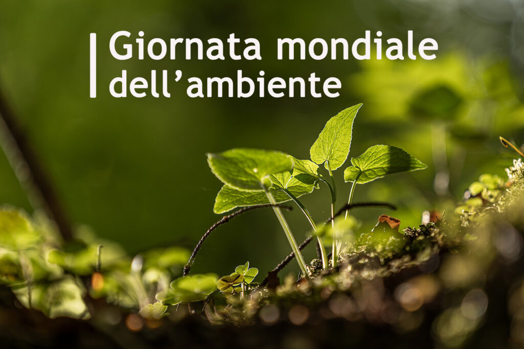 giornata mondiale ambiente 2020
