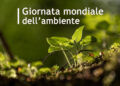 Giornata Internazionale dell’Ambiente, come viverla in Calabria tra progressi e criticità persistenti