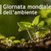 Giornata Internazionale dell’Ambiente, come viverla in Calabria tra progressi e criticità persistenti