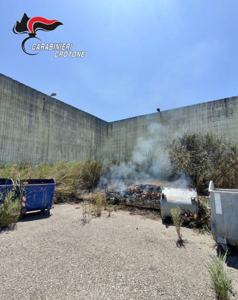 Appicca un incendio a sterpaglie e potature, che si propaga per circa 500 metri, denunciato dai Carabinieri 2 image0