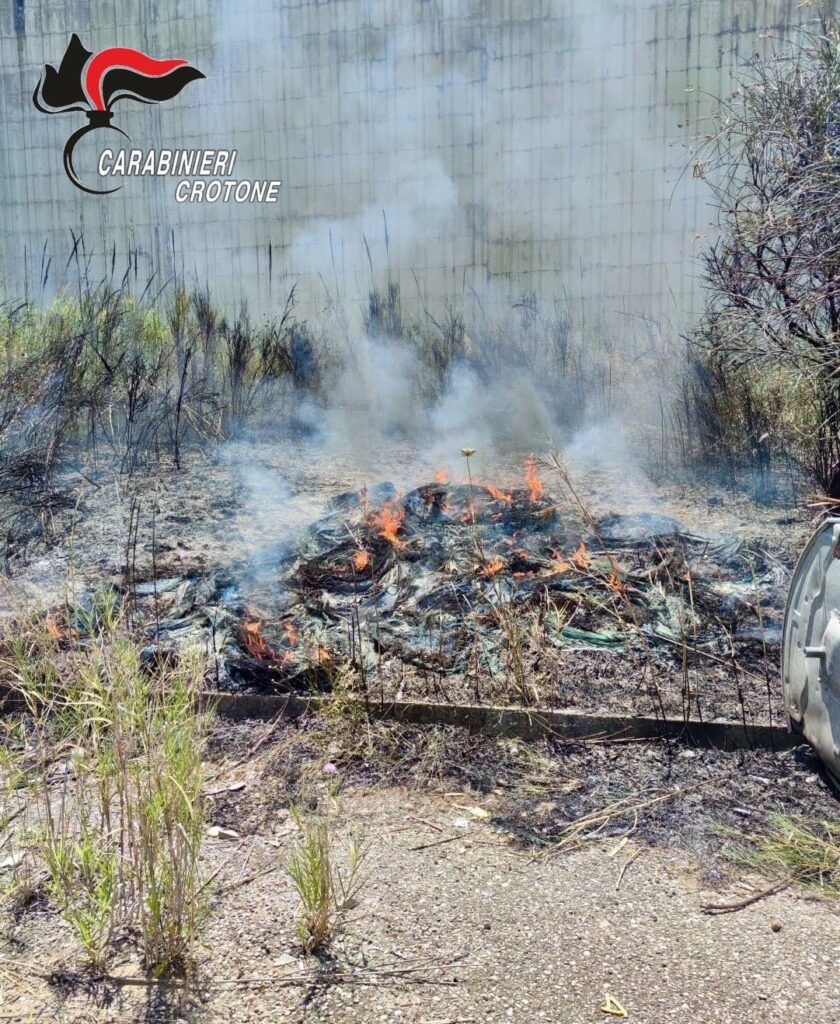 Appicca un incendio a sterpaglie e potature, che si propaga per circa 500 metri, denunciato dai Carabinieri 3 image1