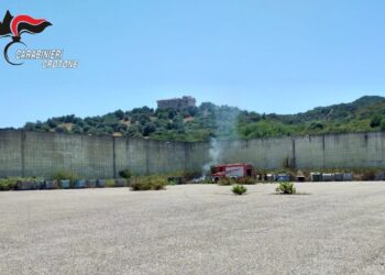 Appicca un incendio a sterpaglie e potature, che si propaga per circa 500 metri, denunciato dai Carabinieri 3 Appicca un incendio a sterpaglie e potature, che si propaga per circa 500 metri, denunciato dai Carabinieri