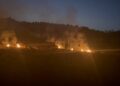 Incendio nella tenuta della famiglia Talarico, la solidarietà di associazioni e forze politiche 4 Incendio nella tenuta della famiglia Talarico, la solidarietà di associazioni e forze politiche