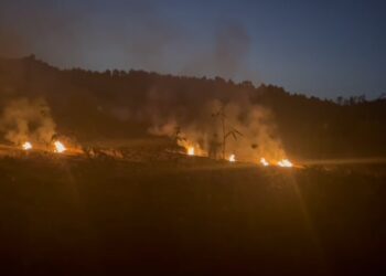Incendio nella tenuta della famiglia Talarico, la solidarietà di associazioni e forze politiche