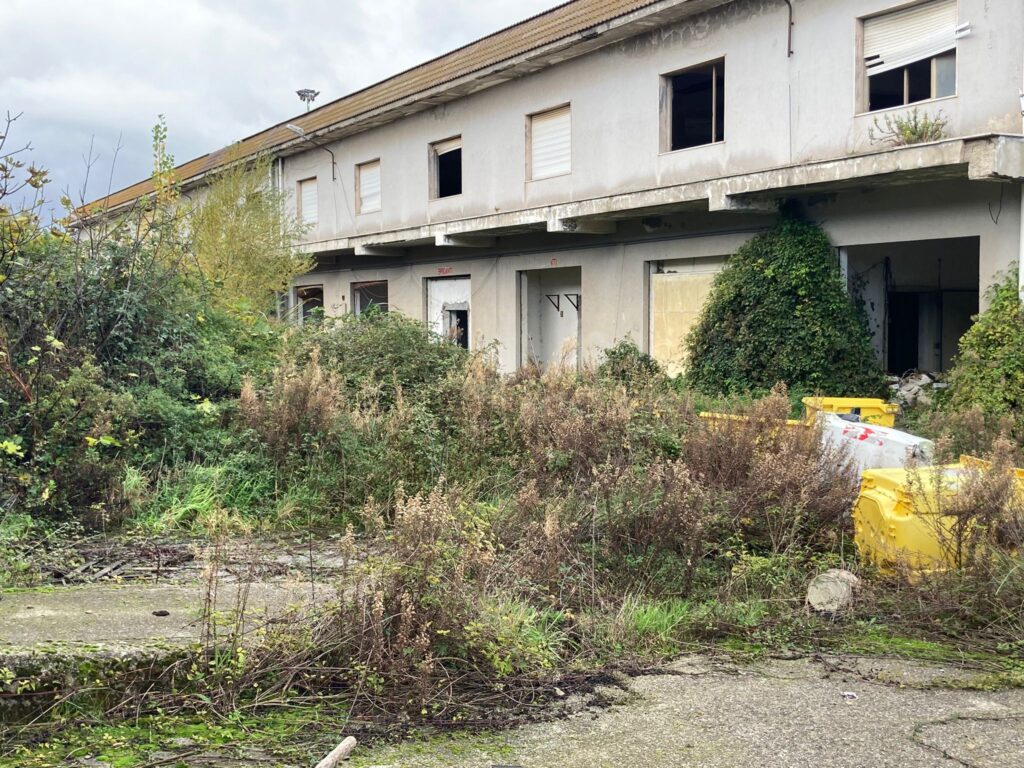 mercati generali vibo 1