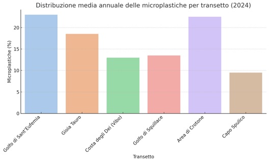 5 giugno, Giornata Mondiale dell’Ambiente: Arpacal presenta i dati sul monitoraggio delle microplastiche in mare 3 microplastiche per transetto