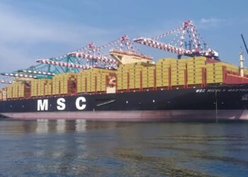 Battesimo commerciale per la “MSC Gioia Tauro” che approda al Medcenter Container Terminal