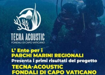 “Tecna-Acoustic Fondali di Capo Vaticano”, un progetto per tutelare il mare calabrese