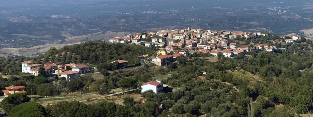 vaccarizzo