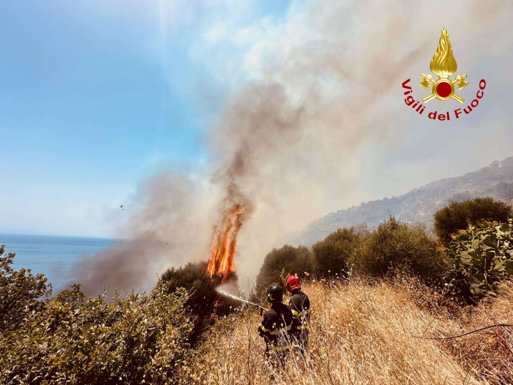Il Vibonese avvolto dalle fiamme, ieri una giornata difficile per i Vigili del Fuoco (VIDEO e foto) 12 1 v