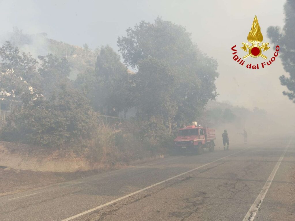 Il Vibonese avvolto dalle fiamme, ieri una giornata difficile per i Vigili del Fuoco (VIDEO e foto) 11 2 v
