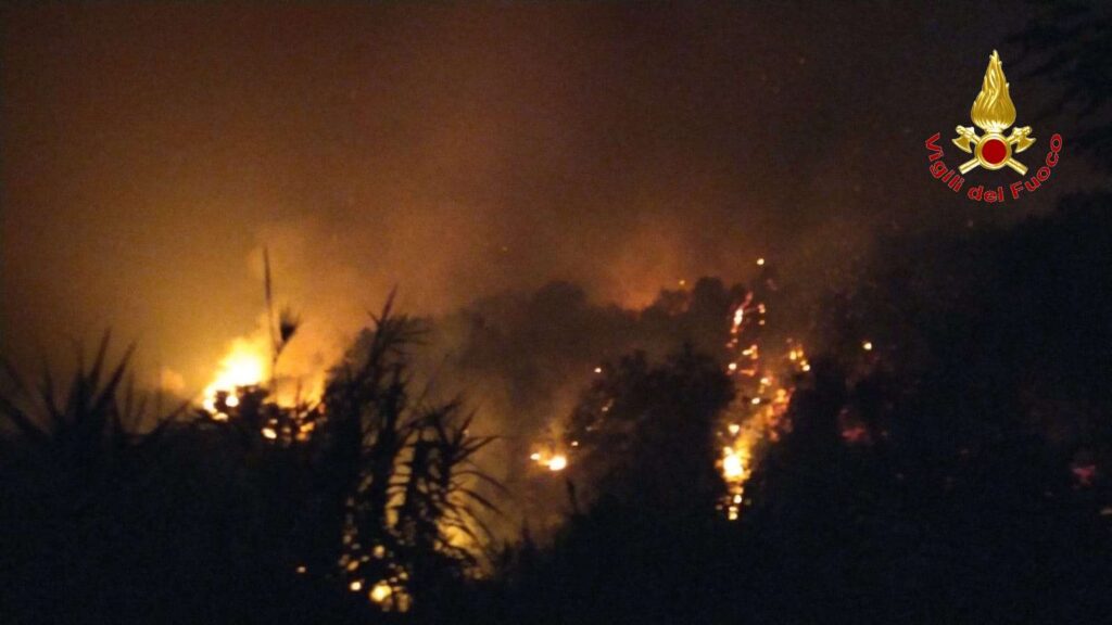 Il Vibonese avvolto dalle fiamme, ieri una giornata difficile per i Vigili del Fuoco (VIDEO e foto) 9 3 v