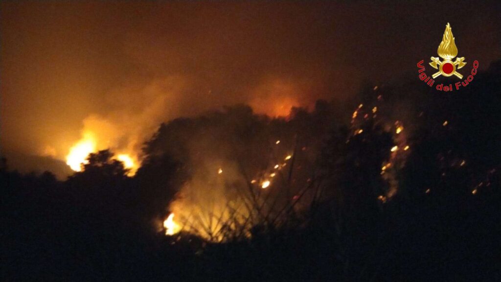 Il Vibonese avvolto dalle fiamme, ieri una giornata difficile per i Vigili del Fuoco (VIDEO e foto) 5 4 v