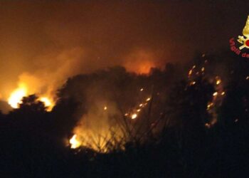 Il Vibonese avvolto dalle fiamme, ieri una giornata difficile per i Vigili del Fuoco (VIDEO e foto)