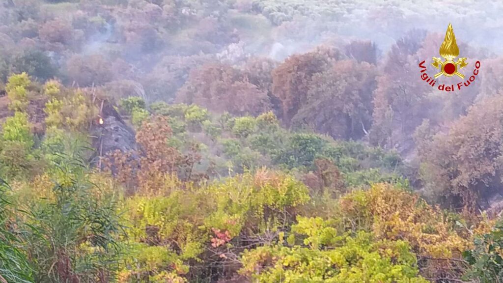 Il Vibonese avvolto dalle fiamme, ieri una giornata difficile per i Vigili del Fuoco (VIDEO e foto) 4 6 v