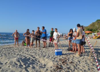 A Parghelia, trovato dal Circolo Legambiente Ricadi il secondo nido di tartarughe marine della stagione