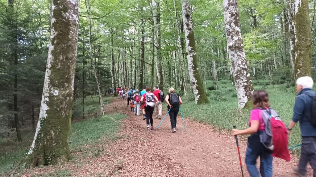 Cala il sipario su Kalipè 2025, successo a Monterosso per la due giorni dedicata ai cammini e al turismo lento 11 Escursionisti nella faggeta di Monte Coppari