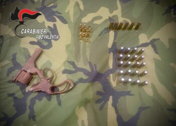 Arresto per detenzione illegale di arma da fuoco e munizioni a Jonadi 3 Arresto per detenzione illegale di arma da fuoco e munizioni a Jonadi
