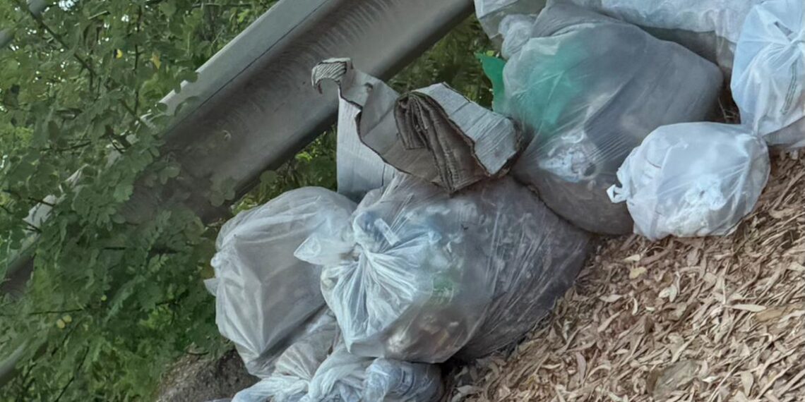 Estate e rifiuti: riemerge la solita emergenza spazzatura 1 Estate e rifiuti: riemerge la solita emergenza spazzatura