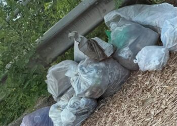 Estate e rifiuti: riemerge la solita emergenza spazzatura