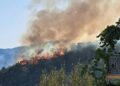 Da due giorni vasto incendio devasta le montagne di Sant’Andrea Jonio 9 Da due giorni vasto incendio devasta le montagne di Sant’Andrea Jonio