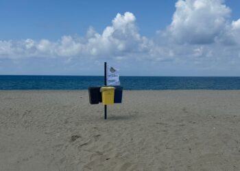 Torna anche quest’anno “Prendiamoci cura delle nostre spiagge” 4 Torna anche quest’anno “Prendiamoci cura delle nostre spiagge”