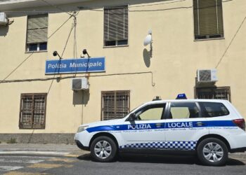 Cinque nuovi agenti stagionali per la Polizia Locale di Vibo Valentia. Potenziati i servizi di viabilità su Vibo Marina
