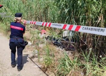 Servizio anti roghi nella piana di Gioia Tauro, i Carabinieri denunciano 14 persone (VIDEO)