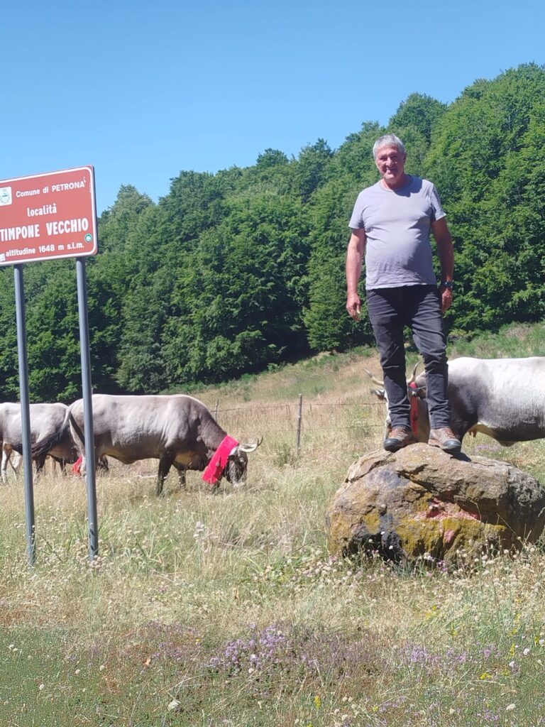 Si rinnova il rito della transumanza in Sila della mandria dei Mancuso ed è come rivedere le scene di un film 4 WhatsApp Image 2025 07 07 at 13.14.31 3