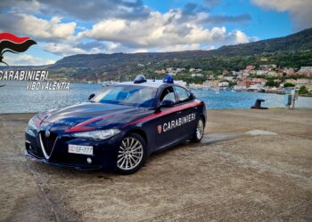 I Carabinieri sventano un possibile gesto ritorsivo a Vibo Marina