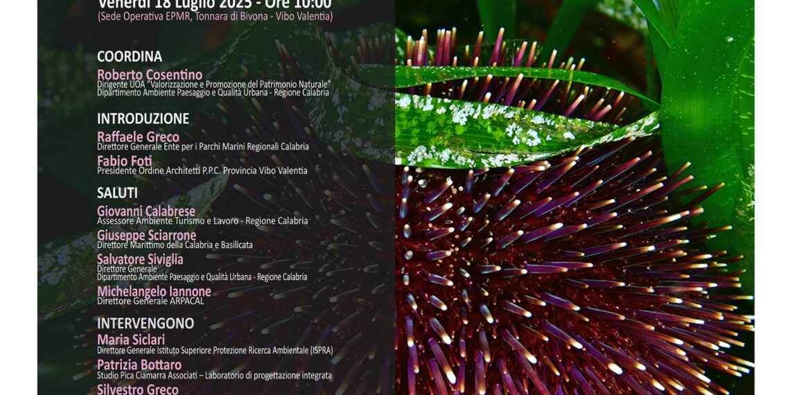 Verso il Piano integrato per il Parco Marino Costa degli Dei. Se ne parlerà alla Tonnara di Bivona