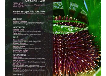 Verso il Piano integrato per il Parco Marino Costa degli Dei. Se ne parlerà alla Tonnara di Bivona