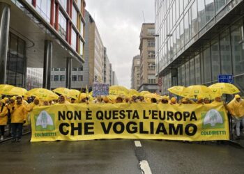 Coldiretti Calabria: oltre 65mila aziende agricole calabresi colpite dal taglio della PAC 2028-2034