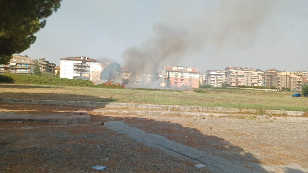 Giornata di caldo record e roghi. Vibo Valentia circondata dalle fiamme, dal lato nord al lato sud (VIDEO) 5 WhatsApp Image 2025 07 25 at 16.22.14