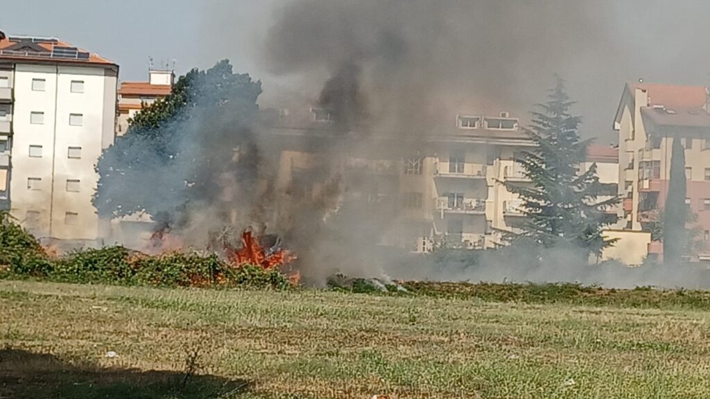 Giornata di caldo record e roghi. Vibo Valentia circondata dalle fiamme, dal lato nord al lato sud (VIDEO) 6 WhatsApp Image 2025 07 25 at 16.22.22