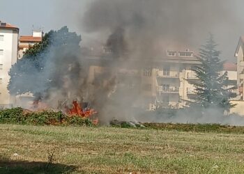 Giornata di caldo record e roghi. Vibo Valentia circondata dalle fiamme, dal lato nord al lato sud (VIDEO)