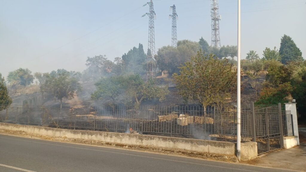 Giornata di caldo record e roghi. Vibo Valentia circondata dalle fiamme, dal lato nord al lato sud (VIDEO) 4 WhatsApp Image 2025 07 25 at 16.26.25