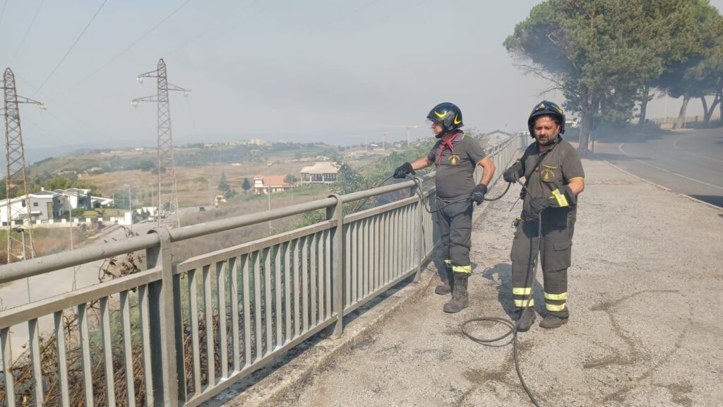 Giornata di caldo record e roghi. Vibo Valentia circondata dalle fiamme, dal lato nord al lato sud (VIDEO) 3 WhatsApp Image 2025 07 25 at 16.43.31