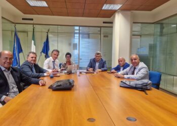 Piccoli passi avanti per la sanità vibonese. Tavolo tecnico impegnato in un doppio appuntamento sembrato costruttivo