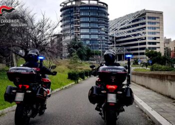 Notte di violenza domestica a Reggio Calabria, i Carabinieri arrestano un uomo (VIDEO)