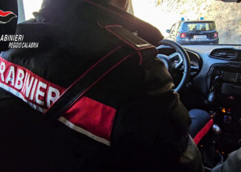 Africo e Brancaleone, controlli dei Carabinieri agli esercizi commerciali: 280 kg di alimenti sequestrati