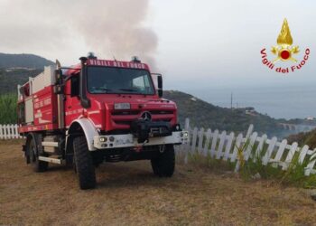 La Calabria nella morsa del fuoco. Circa 140 interventi dei Vigli del Fuoco nel fine settimana