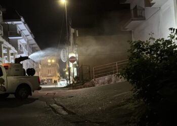 Disinfestazione sul territorio comunale di Vibo Valentia: al via gli interventi di luglio