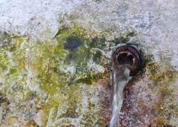 Vandalizzata a Catanzaro la fontana Piterà 2 Vandalizzata a Catanzaro la fontana Piterà