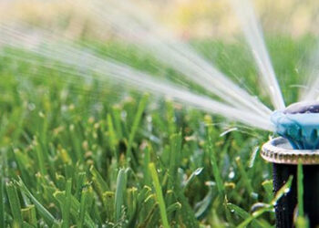 Il Consorzio di Bonifica avverte sull’utilizzo improprio dell’acqua per irrigazione